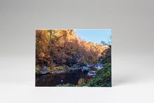 Load image into Gallery viewer, Thinking of You Cards (10 pack)