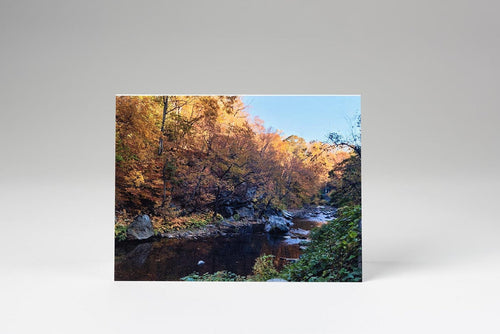 Thinking of You Cards (10 pack)